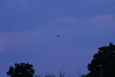 DSC_1870 (Large).JPG